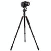 Triopo MT-2505C Adjustable Portable Aluminum Tripod with NB-1S Ball Head for Canon Nikon Sony DSLR Camera(Black)