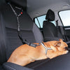Dog Car Seat Belt, Adjustable Elastic Safety Lead (Black, 2.5cm)