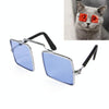 Cat & Dog Photo Prop Glasses, Clear Blue, Foldable