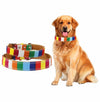 Large Dog Collar, Yellow, XL (60cm), Canvas & PU, Durable
