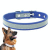 Reflective PU Leather Dog Collar, Medium, Dark Blue - CL181K