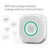 Smart WiFi Gas Detector, US Plug - Remote Alerts & Monitoring