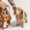 Pink Dog Poop Bag Dispenser | Lead Attachable | Portable