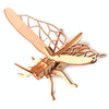 5 PCS MQY005 Children Educational Early Education DIY Hand-Assembled 3D Animal Model Puzzle Toy(Grasshopper)