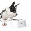 Floating Pet Water Bowl (White) - No Spill, Dry Whiskers, 1.5L