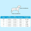 Breathable Mesh Dog Harness with 2m Leash, Blue, S