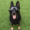 Pet Goggles Dog Transparent Glasses Waterproof Windproof Snow Goggles Dog Glasses(Transparent)