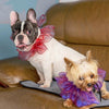 Purple Dog Scarf, Large, Halloween/Christmas, Organza
