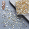 Nail Art Decoration Seashell Fragment Nail Decoration, Style: 02 Champagne