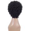 WIG-T003 Ladies High Temperature Silk Short Curly Wig Elastic Mesh Headgear(Black)