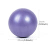 Mini Yoga Pilates Ball Explosion-proof PVC Ball Balanced Fitness Gymnastic Exercise Training with Straw, Diameter: 25cm(Purple)