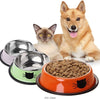 Non-Slip Cat Food Bowl, Stainless Steel, Orange, 11x15.5cm