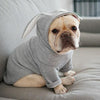 Grey Rabbit Ear Pet Sweatshirt, Small - Soft & Breathable