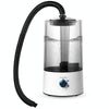 4L Reptile Humidifier Fogger Cool Mist Mister w/Tube EU Plug