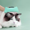 Pet Hair Removal Comb - Green - Cat & Dog