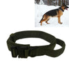 Heavy Duty Nylon Dog Collar with Handle - Army Green - Large