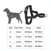 Reflective Dog Harness Green M | Nylon Chest Strap with D-Ring