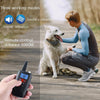 PaiPaitek PD526V-2 Dog Training Collar - 2 Dogs, 1000m Range, Vibration & Sound