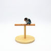 Large Frosted Wooden Parrot Play Stand - 20cm