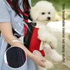 DONO Pet Carrier Backpack, Breathable, M, Blue/Yellow