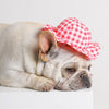 Pet Summer Sun Hat - Pink Grid, Size S (Cats & Dogs)