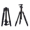 TRIOPO K2508S+B1S Adjustable Portable  Aluminum Alloy Tripod with Ball Head for SLR Camera(Gold)