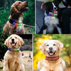 LED Dog Collar, Bluetooth, Blue, Rechargeable, Custom Text/GIF