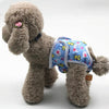 Dog Sanitary Pants, Small, Yellow Duck Print - Reusable & Washable