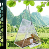 Acrylic Bird Cage, Transparent Triangle Feeder, Small Birds