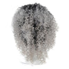 T191006 European and American Wig Headgear with Short and Small Curly Hair for Women (Light Grey)