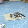 Large Sisal Cat Scratching Mat - 60x90cm - Random Colour