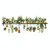 PH-QT4578 Plant Bonsai Decals Bedroom Decor Stickers Small Fresh Living Room Landscaping Decorative Wall Stickers