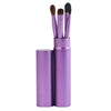 5 PCS Handle Eyes Makeup Brush Set with Aluminum Tube(Purple)