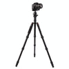 Triopo MT-2805C Adjustable Portable Aluminum Tripod (Gold) with NB-2S Ball Head (Black) for Canon Nikon Sony DSLR Camera