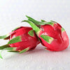 Simulation Fruit Model Dragon Fruit Ornaments Photography Props Home Decoration Window Display