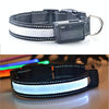 USB Rechargeable LED Dog Collar, White, S (35-40cm)