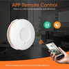 Zigbee Water Leak Detector, Flood Sensor, Smart Home, IP66
