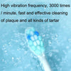 Boorui BR-Z5 USB Fast Charge Soft Toothbrush 5 Gear Sonic Electric Toothbrush(Light Green)