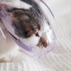 Dog Muzzle, Transparent & Breathable, Size M