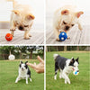 Squeaky Latex Dog Ball Toy - Small Tennis Ball - For Puppies & Light Chewers