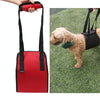 Dog Lifting Harness Support Belt, Large Red - Elderly, Disabled & Injured Dogs