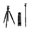 TRIOPO T258 Aluminum Alloy Tripod Monopod with D2 Ball Head (Black)