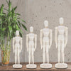 Wooden Puppet Toy Humanoid Art Sketch Model Joint Doll, Size:12 Inch