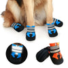Waterproof Dog Boots XXL Orange - Non-Slip & Durable