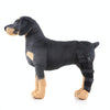 HJ19 Pet Surgery Rehabilitation Back Leg Protector Walking Aids, Size: L(Black Left Back Leg)