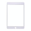 iPad Mini 4 A1538/A1550 White Front Glass Lens Replacement