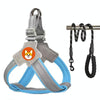 Reflective Dog Harness & Lead, Breathable Saddle Style, Blue, S, 1.5m Rope