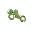 15 PCS / 3 Packs 1:12 Mini Doll House Miniature Kitchen Scene Decoration Green Cabbage(Green)