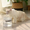 Automatic Pet Water Dispenser, 1.8L, Silent, EU Plug