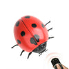 Infrared Sensor Remote Control Simulated Insect Tricky Creative Children Electric Toy Model(Ladybug)